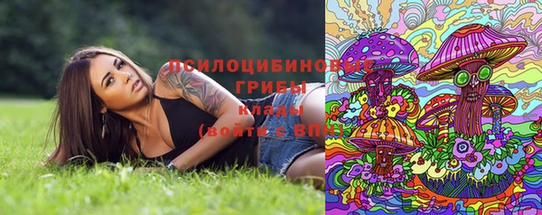 apvp Верхний Тагил