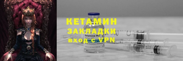 гидра Богородск