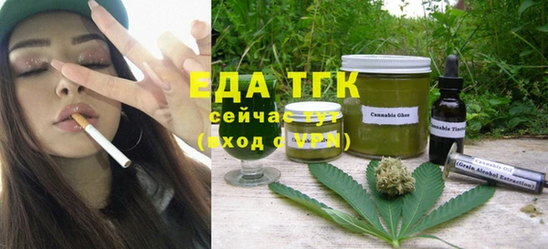 индика Кулебаки