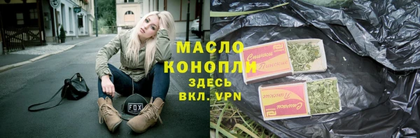 гидра Богородск